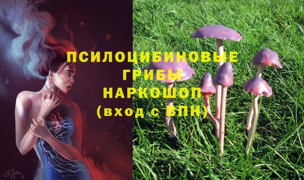 кокаин перу Алексин